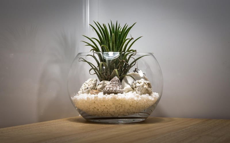 DIY Hanging Terrariums